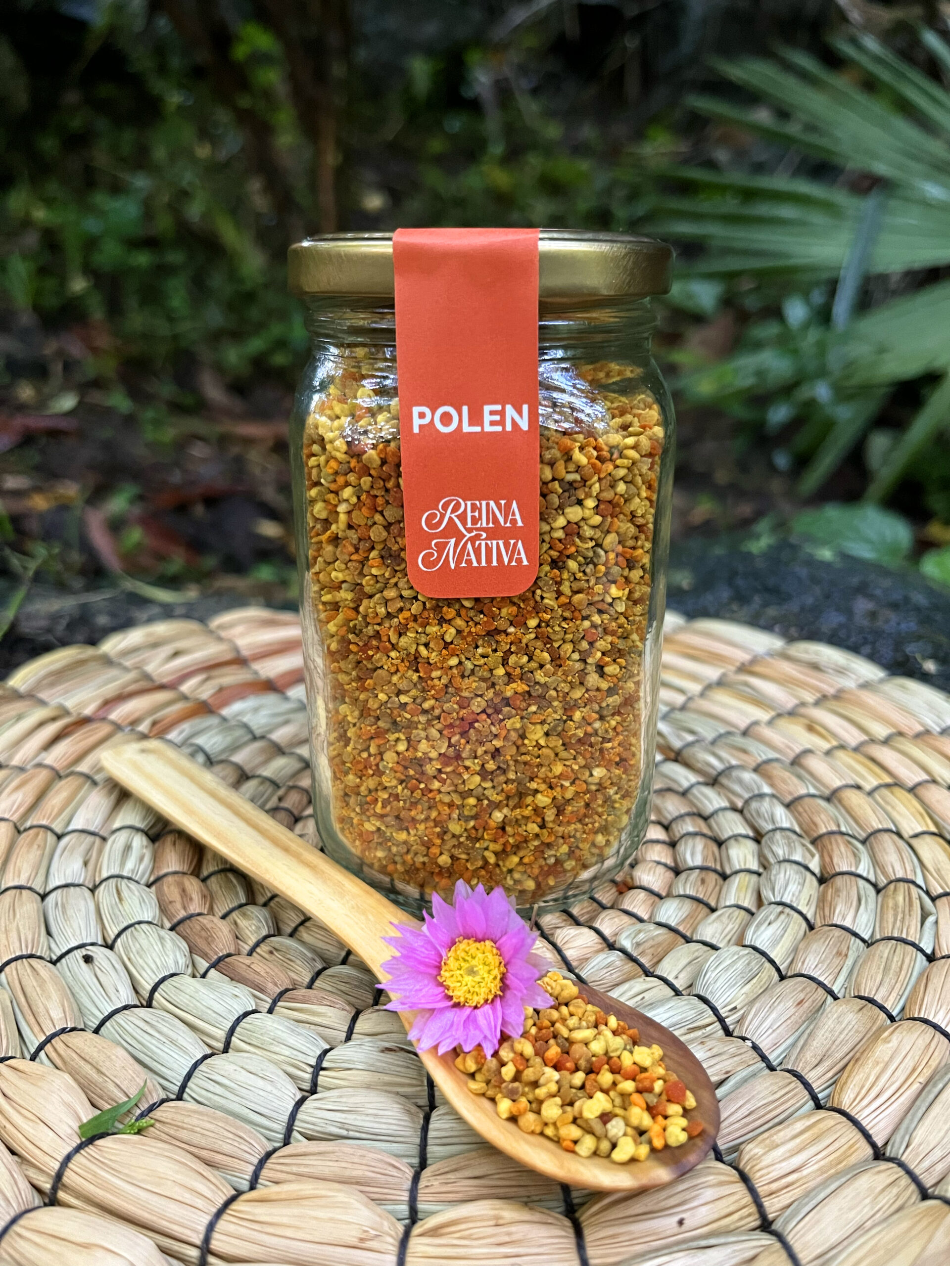 Imagen de Polen