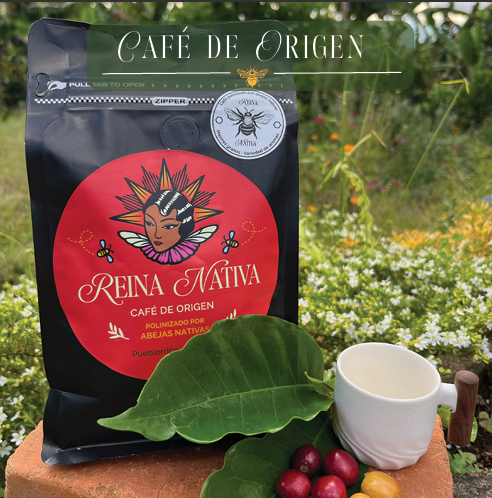 Imagen de Café de origen